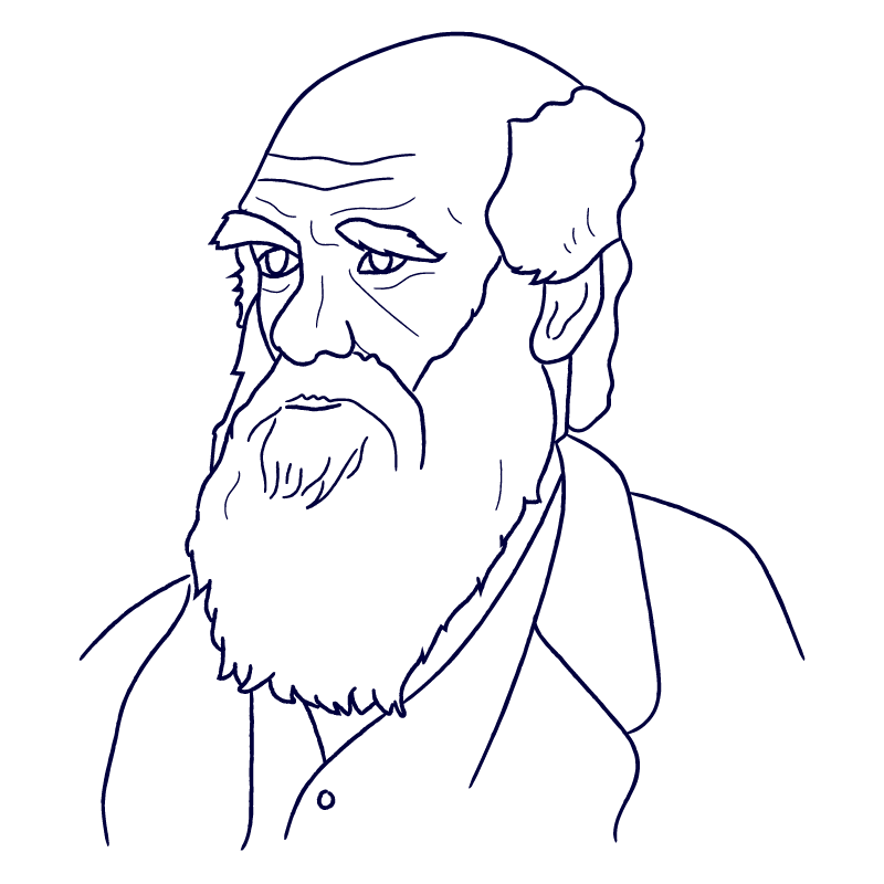 Charles-Darwin-Illustration