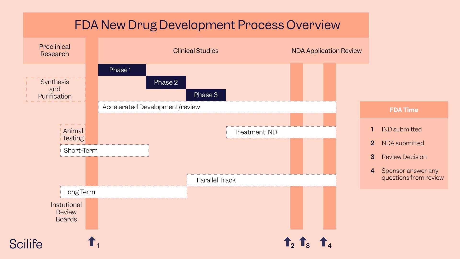 FDA Drug Approval Process Chart