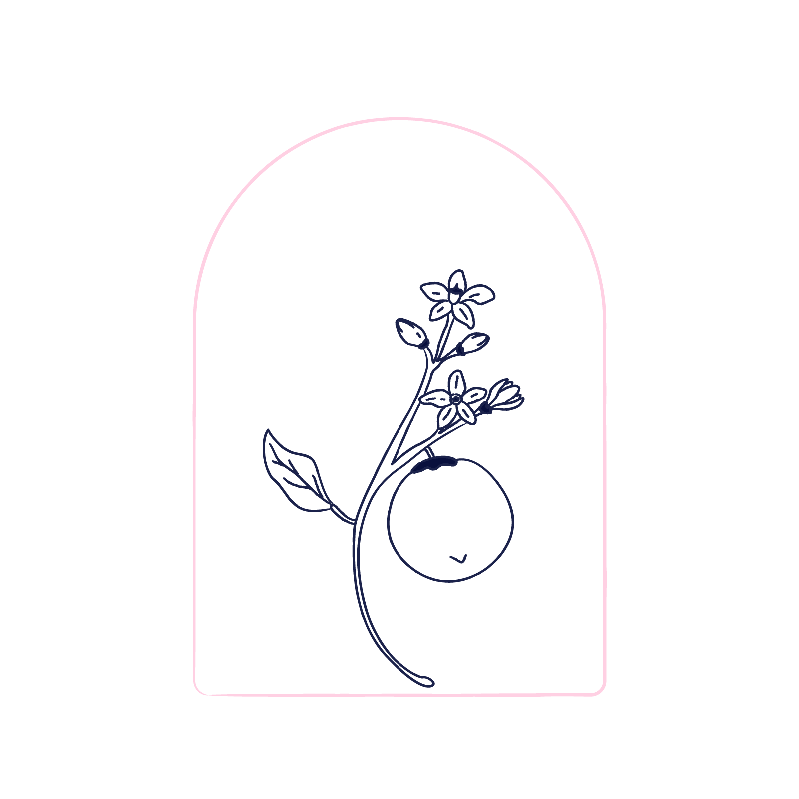 Illustration of a blossoming branch, representing growth awaiting you after completing the Quality Maturity Scan | Scilife